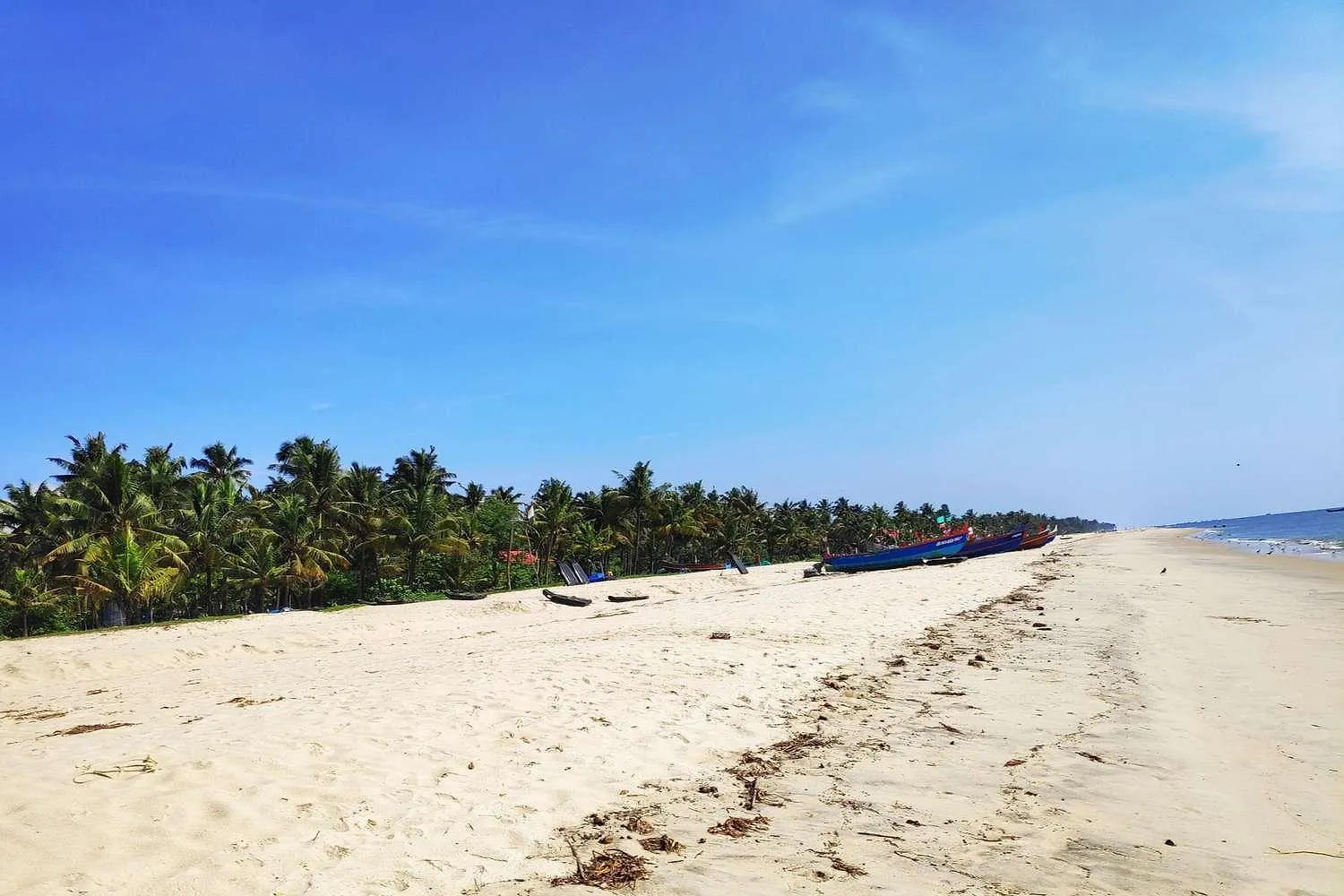 홈스테이 Jungle Cabin Marari Alappuzha